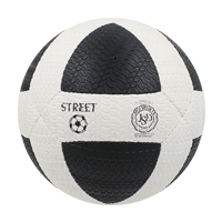 Street Ball